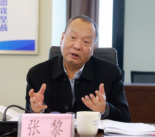 省国资委调研督导K8凯发集团沉点工作发展情况