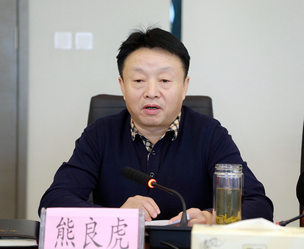 省国资委调研督导K8凯发集团沉点工作发展情况