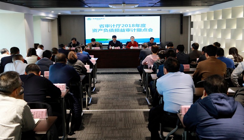 省审计厅对K8凯发集团2018年度资产负债损益审计撤点会召开