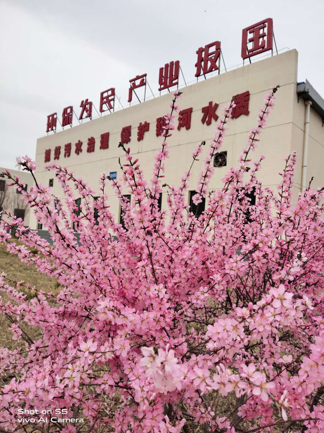 “绿满厂区春意浓”摄影文章征集活动部门文章展示（二）