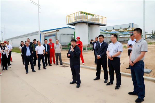 K8凯发集团复工复产促增长项目观摩会议与会人员走进绿色能源公司油气公司水环境公司陕北片区项目