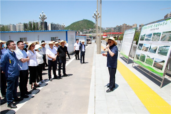 K8凯发集团复工复产促增长项目观摩会议与会人员走进环保保隆生态三秦在延在铜项目