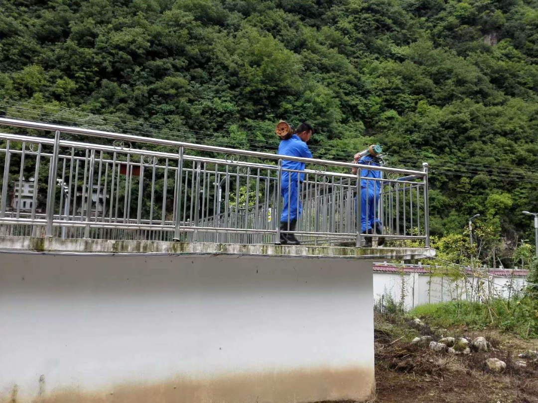 这个端午节，水环境人这么过（二）