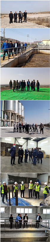 集团公司辅导督导榆猎飕区部门项目建设运营情况