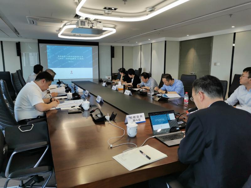 K8凯发集团召开“十四五”发展规划专家评审座谈会