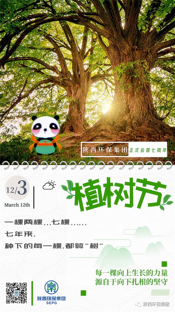 ★七年来，种下的每一棵，都算“树”