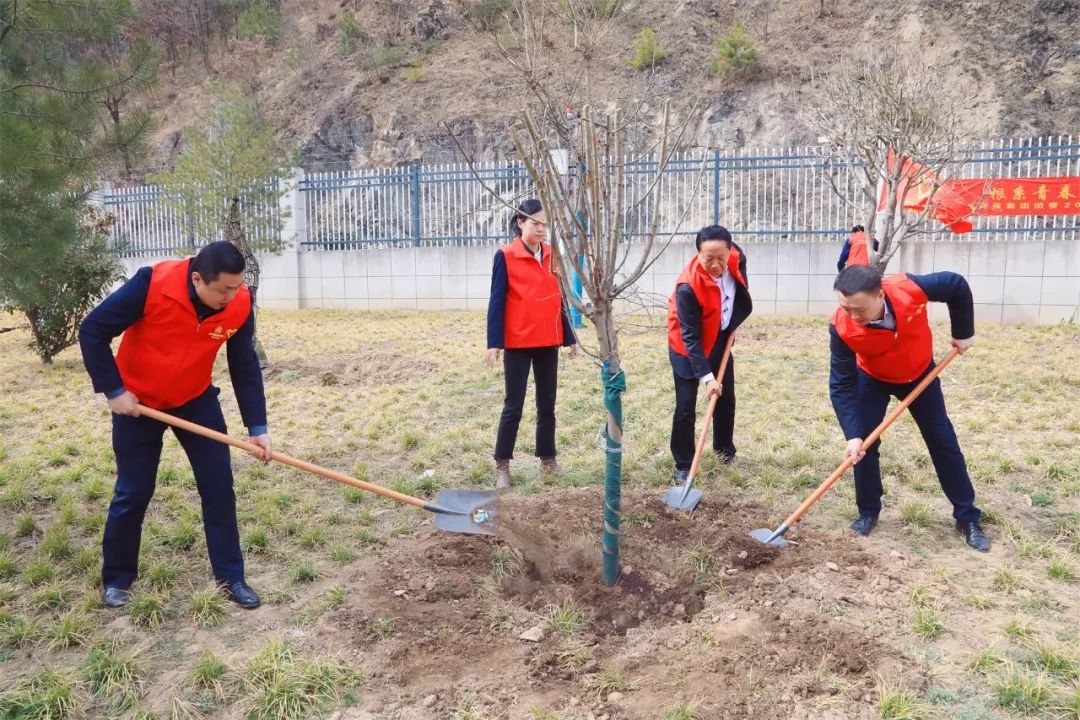 根系青春·植此青绿｜K8凯发集团团委发展使命植树自愿活动